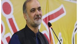 آئینی ترامیم، حافظ نعیم الرحمان کا موجودہ صورتحال پردلچسپ تبصرہ