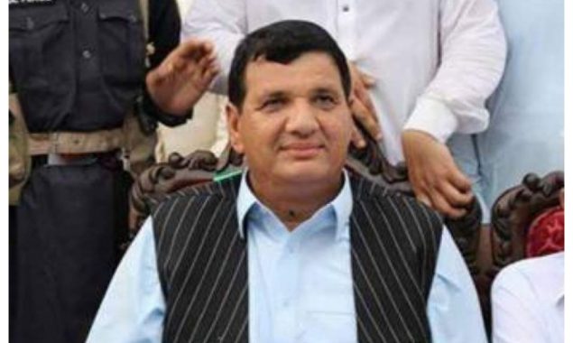 بھارت نے مقبوضہ کشمیر میں جبری طور پر قبضہ کر رکھا ہے، امیر مقام