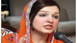 تاریخ کھبی اقوام متحدہ اور انسانی حقوق کی تنظیموں کو معاف نہیں کرے گی، مشعال ملک