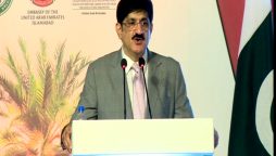 وزیراعلیٰ سندھ