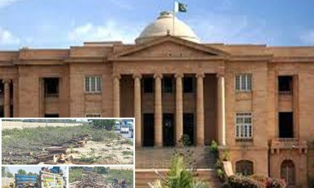 سندھ ہائی کورٹ