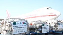 ترجمان این ڈی ایم اے