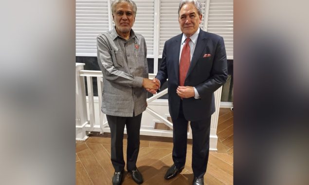 نائب وزیراعظم اسحاق ڈار