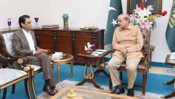 ایم کیو ایم کی جانب سے وزیر اعظم کو پیش کردہ آئینی ترمیم کا مسودہ سامنے آگیا