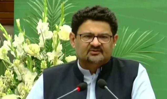 پیپلزپارٹی ووٹ تو لیتی ہے کوئی کام نہیں کرتی، مفتاح اسماعیل