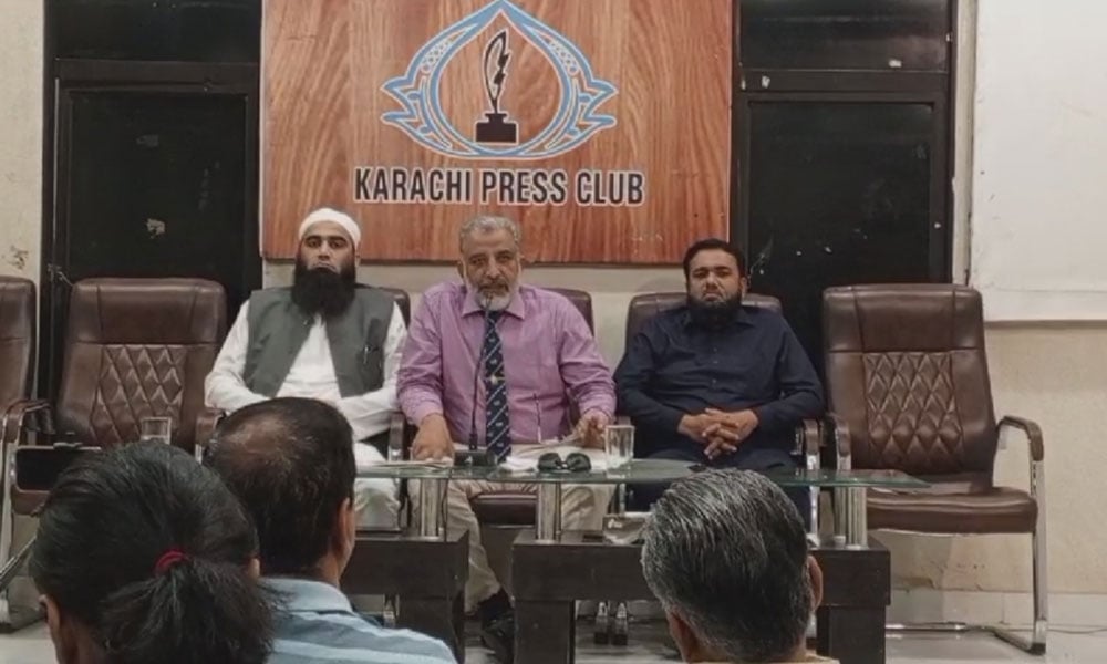 پی آئی اے کو صرف ایک ایئرلائن کی نگاہ سے نہ دیکھا جائے، پی آئی اے سیپ کا مطالبہ