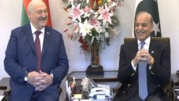 پاکستان بیلاروس کے ساتھ اپنے تعلقات کو قدر کی نگاہ سے دیکھتا ہے، وزیراعظم