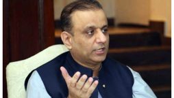 پاکستان میں غیر ملکی سرمایہ کاروں کیلئے مختلف شعبوں میں بڑے مواقع موجود ہیں، عبدالعلیم خان