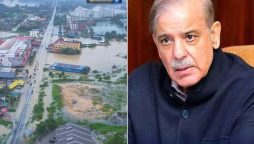 وزیراعظم شہبازشریف