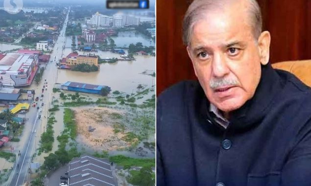 وزیراعظم شہبازشریف