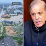 وزیراعظم شہبازشریف