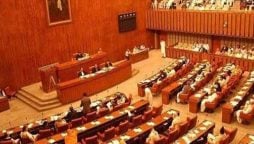 ٹرانسپورٹ اور بزنس پر 10 فیصد لیوی کا معاملہ متعلقہ مواصلات کمیٹی کو بھیج دیا گیا