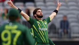 ون ڈے رینکنگ؛ شاہین آفریدی ایک مرتبہ پھر نمبر ون بولر بن گئے