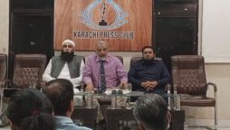 پی آئی اے کو صرف ایک ایئرلائن کی نگاہ سے نہ دیکھا جائے، پی آئی اے سیپ کا مطالبہ