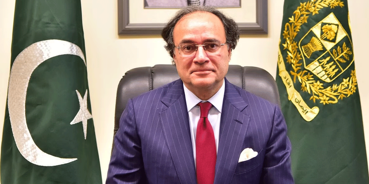 دنیاکی دوسری بڑی معیشت کےطور پر چین سے بہت کچھ سیکھناہوگا، وزیرخزانہ