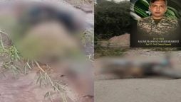 سیکیورٹی فورسز کی تین مختلف کارروائیاں؛ 13 خوارج جہنم واصل، ایک افسر شہید