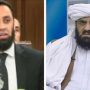 حافظ حمد اللہ کے بیان پر عطا تارڑ کا ردعمل