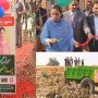 ستھرا پنجاب؛ وزیراعلیٰ اور ڈائیوو ایکسپریس ساتھ ساتھ