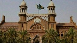 اسموگ تدراک کیس