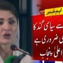 پاکستان سے سیاسی گند کا خاتمہ بھی ضروری ہے، مریم نواز