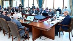 سانحہ 9 مئی کے مجرموں کو سزاؤں پر عالمی ردعمل؛ وفاقی کابینہ کا اجلاس کل طلب