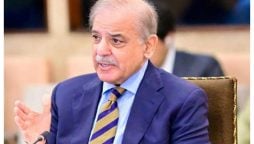 آغا خان فاؤنڈیشن کی پاکستان میں عوامی فلاح کیلئے گراں قدر خدمات ہیں، وزیرِاعظم