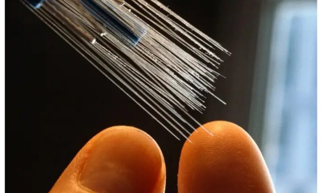 سب میرین کیبل کی بحالی کے عمل کی مسلسل نگرانی کی جا رہی ہے، پی ٹی اے