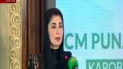 مریم نواز