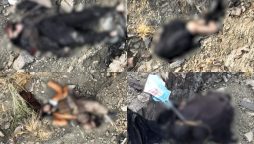 پاک افغان سرحد پر دراندازی کی کوشش ناکام، 5 خوارج دہشتگرد ہلاک