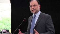 ترقی کے لئے امن اور سیاسی استحکام کا ہونا ضروری ہے، احسن اقبال