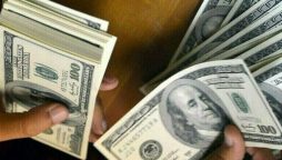 اسٹیٹ بینک کے ذخائر میں 3 کروڑ ڈالر کا اضافہ ریکارڈ