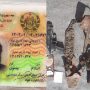 پاکستان میں دہشت گردی میں ملوث افغان شہری کی لاش افغان حکومت کے حوالے