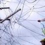 2024 میں کتنی بجلی چوری ہوئی؟ تفصیلات سامنے آگئی