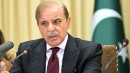 جنگ مستقل حل نہیں دیرپاامن ہی محفوظ مستقبل کی ضمانت ہے، شہبازشریف