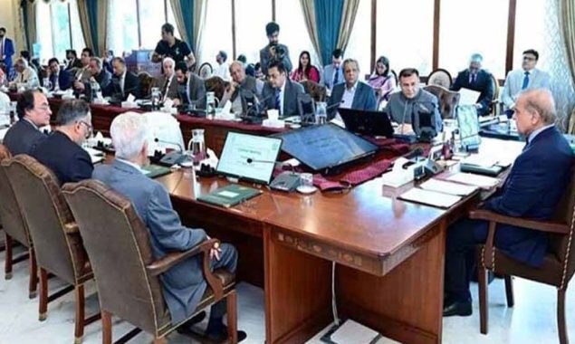 وفاقی کابینہ اجلاس؛ ایک آئی پی پی کے ساتھ معاہدہ منسوخ، 16 آئی پی پیز کے ساتھ ٹیرف ریویو کی منظوری
