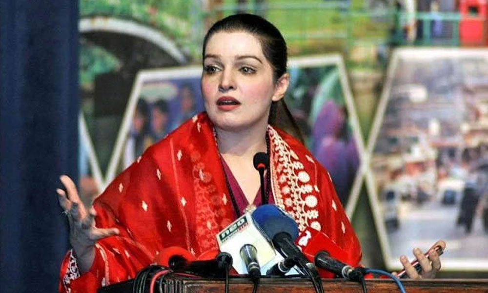 پاکستانی قوم کے ڈی این اے میں کشمیریوں سے محبت ہے، مشعال ملک