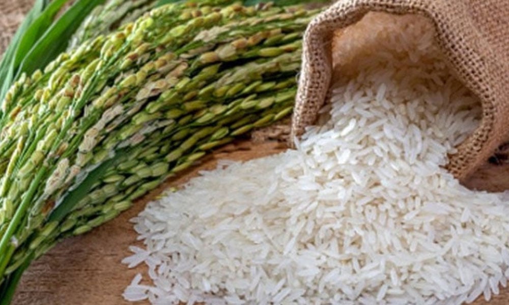 پاکستانی چاولوں کی برآمدات میں درپیش مسائل ملکی بدنامی کا باعث بننے لگے