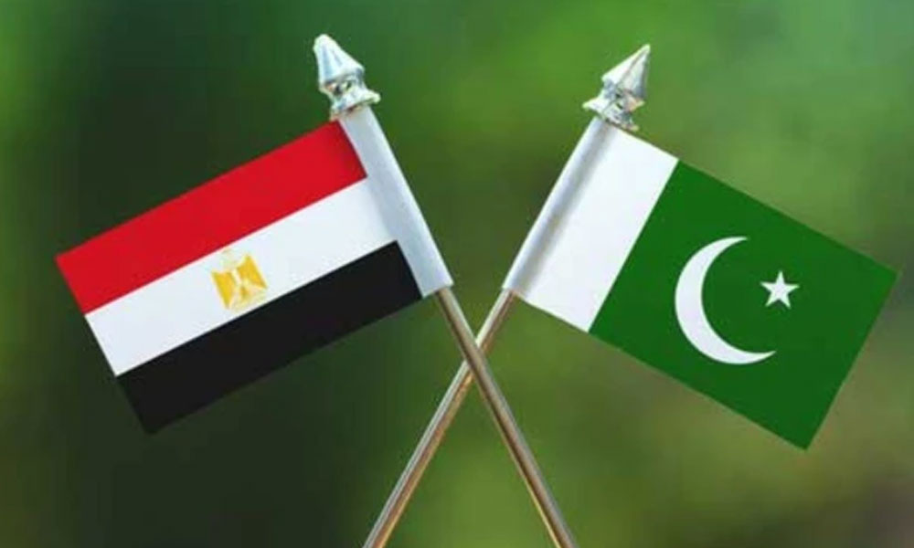 پاکستان اور مصر کا غزہ میں ہونے والی پیش رفت پر تبادلہ خیال