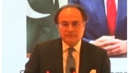 زرعی شعبہ معیشت میں زیادہ حصہ دار ہے لیکن ٹیکس میں اس کا حصہ کم ہے، وزیر خزانہ