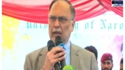 پاکستان میں ترقی کی کنجی سیاسی استحکام ہے، احسن اقبال