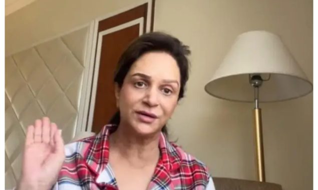 بشریٰ انصاری یوٹیوبرز پر برس پڑی