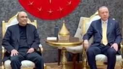 پاکستان اور ترکیہ کا تجارتی اور سرمایہ کاری تعلقات بڑھانے کی ضرورت پر زور