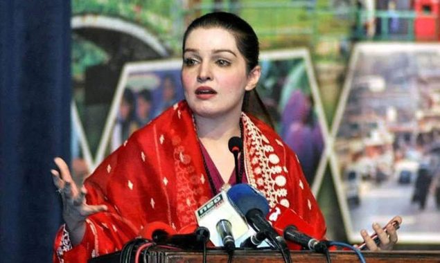 پاکستانی قوم کے ڈی این اے میں کشمیریوں سے محبت ہے، مشعال ملک
