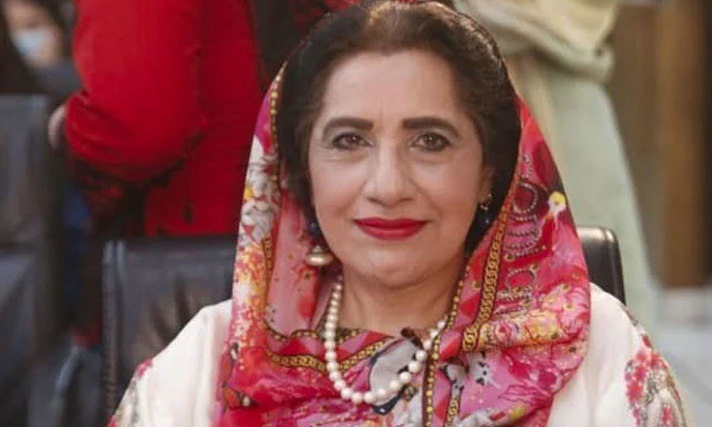 پیپلزپارٹی اور ن لیگ کا الائنس اچھا چل رہا ہے، عظمیٰ کاردار کا دعویٰ