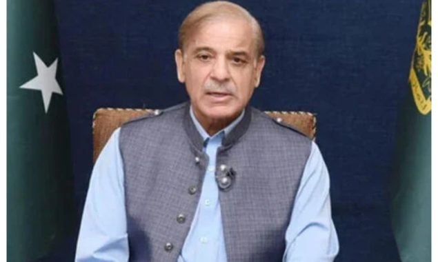 پاکستان ماحولیاتی تبدیلی سے متاثرہ ممالک کی صف اول میں کھڑا ہے، وزیر اعظم