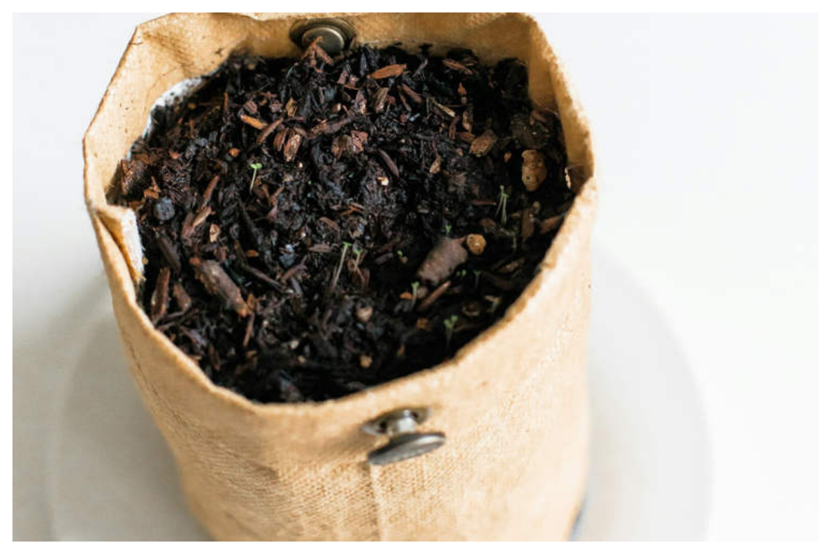 کم وقت میں امیر بننا چاہتے ہیں تو بینک کی مٹی سے قسمت آزمائیں