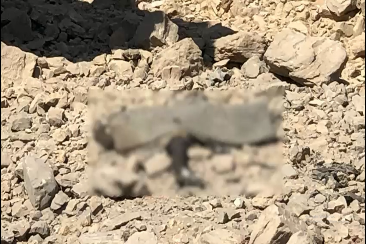 جعفر ایکسپریس