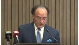 آبادی میں اضافے کی طرح گلیشیئرز کا معاملہ بھی پاکستان کی بقا کا معاملہ بن چکا ہے، وزیر خزانہ
