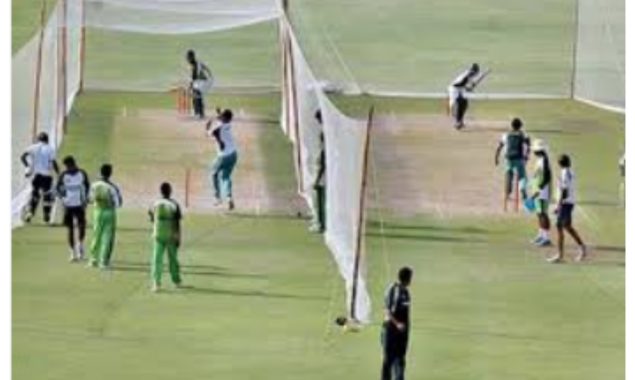 پاکستان ٹی ٹوئنٹی اسکواڈ کے آٹھ کھلاڑیوں نے ون ڈے اسکواڈ کو نیپئر میں جوائن کر لیا