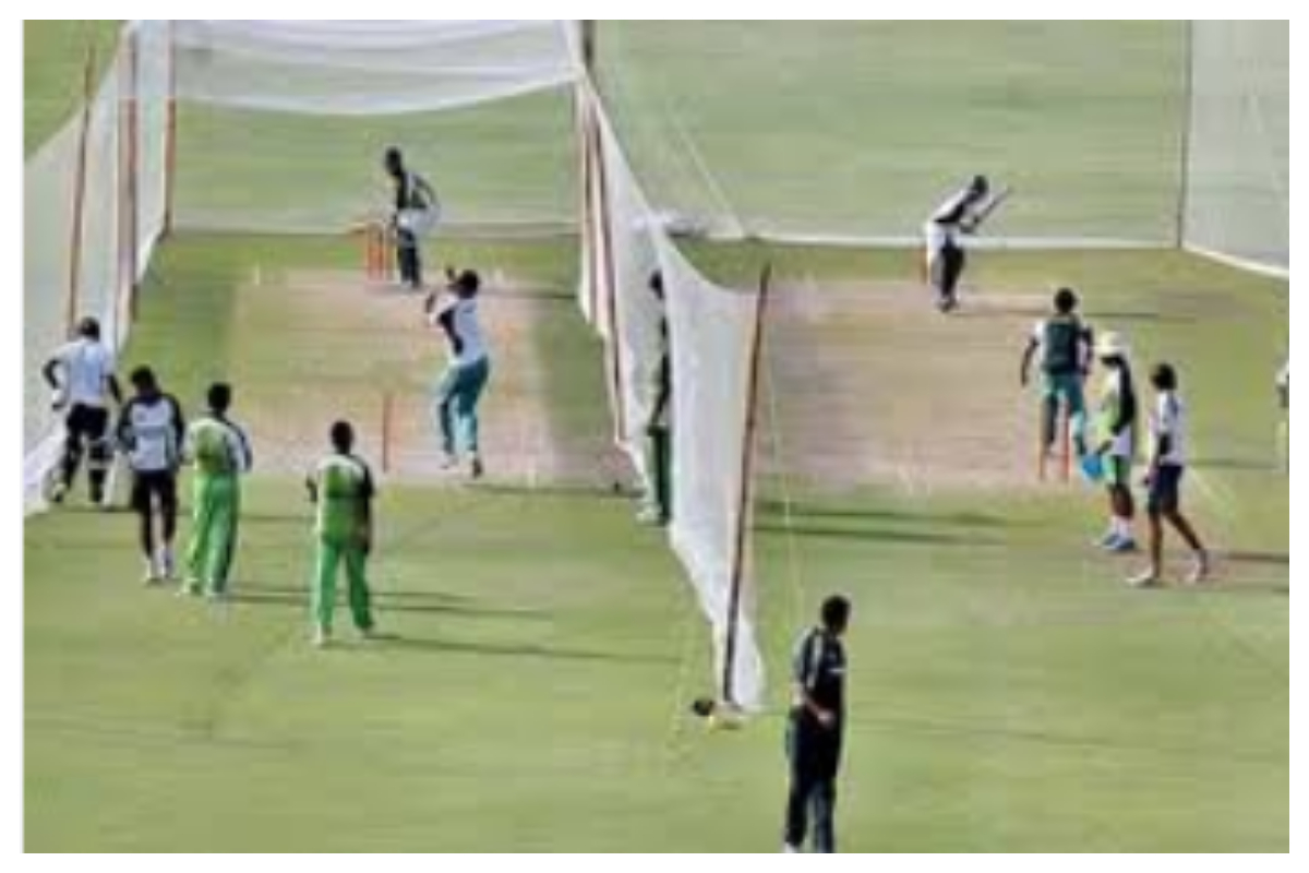 پاکستان ٹی ٹوئنٹی اسکواڈ کے آٹھ کھلاڑیوں نے ون ڈے اسکواڈ کو نیپئر میں جوائن کر لیا